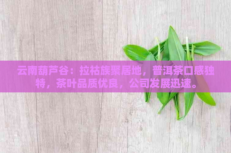 云南葫芦谷：拉祜族聚居地，普洱茶口感独特，茶叶品质优良，公司发展迅速。