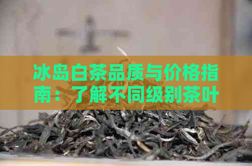 冰岛白茶品质与价格指南：了解不同级别茶叶的性价比及市场行情