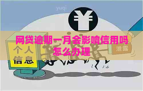 网贷逾期一月会影响信用吗怎么办理