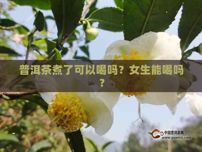 普洱茶煮了可以喝吗？女生能喝吗？