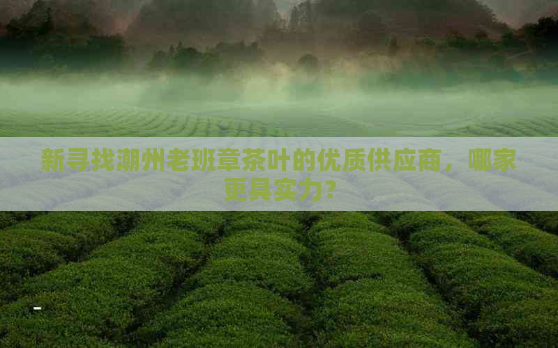 新寻找潮州老班章茶叶的优质供应商，哪家更具实力？