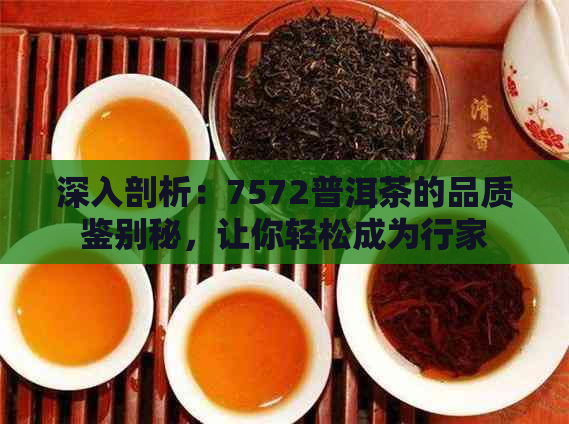 深入剖析：7572普洱茶的品质鉴别秘，让你轻松成为行家