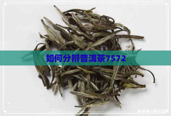 如何分辨普洱茶7572