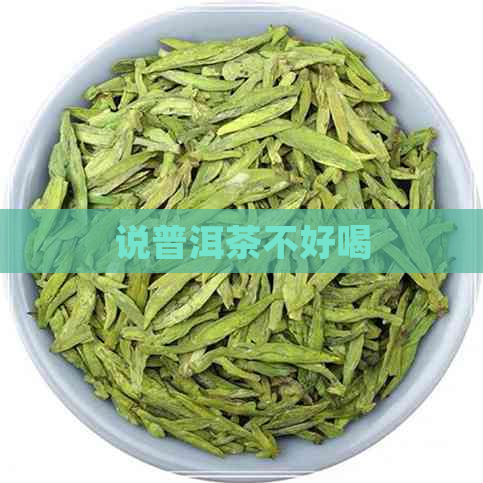 说普洱茶不好喝