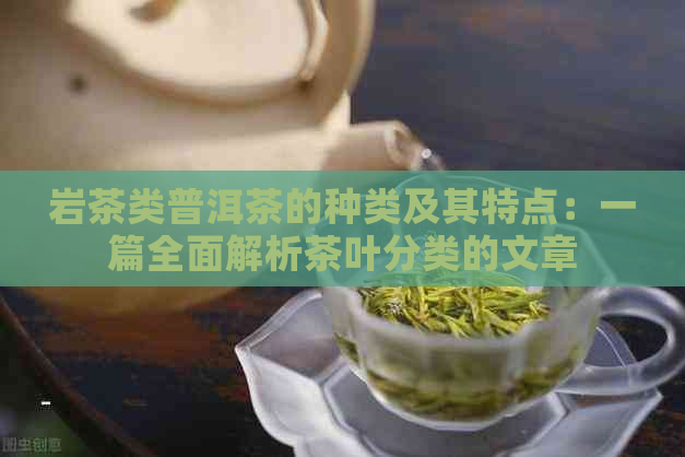 岩茶类普洱茶的种类及其特点：一篇全面解析茶叶分类的文章