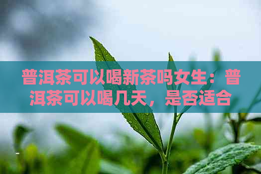 普洱茶可以喝新茶吗女生：普洱茶可以喝几天，是否适合女生饮用？