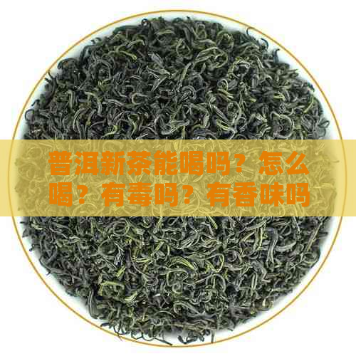 普洱新茶能喝吗？怎么喝？有吗？有香味吗？可以喝吗？