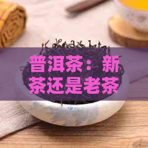 普洱茶：新茶还是老茶，哪个更适合你的口味？