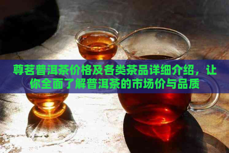 尊茗普洱茶价格及各类茶品详细介绍，让你全面了解普洱茶的市场价与品质