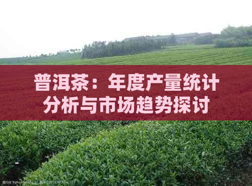 普洱茶：年度产量统计分析与市场趋势探讨