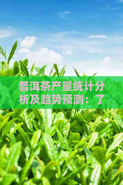 普洱茶产量统计分析及趋势预测：了解每年茶叶产量的变化与市场前景