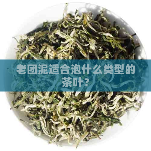 老团泥适合泡什么类型的茶叶？