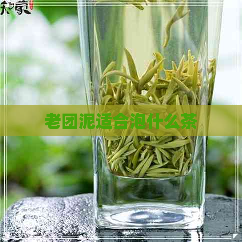 老团泥适合泡什么茶