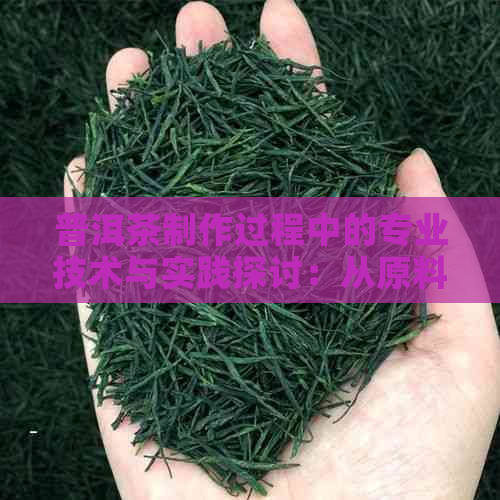 普洱茶制作过程中的专业技术与实践探讨：从原料选型到工艺优化