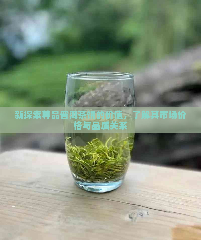 新探索尊品普洱茶饼的价值，了解其市场价格与品质关系