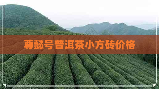 尊懿号普洱茶小方砖价格