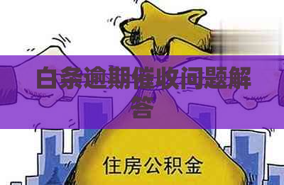 白条逾期问题解答