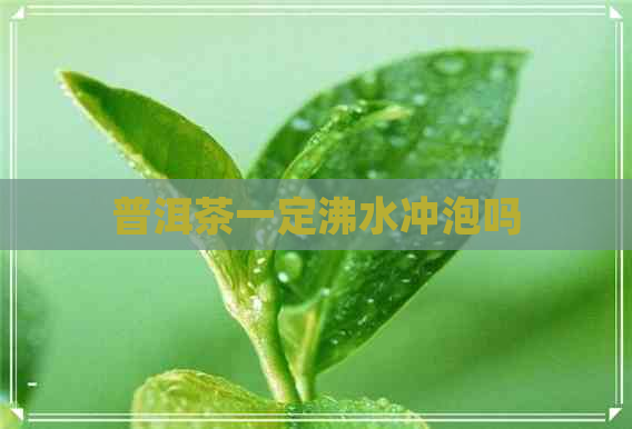 普洱茶一定沸水冲泡吗