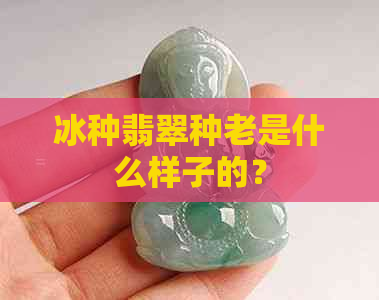 冰种翡翠种老是什么样子的？