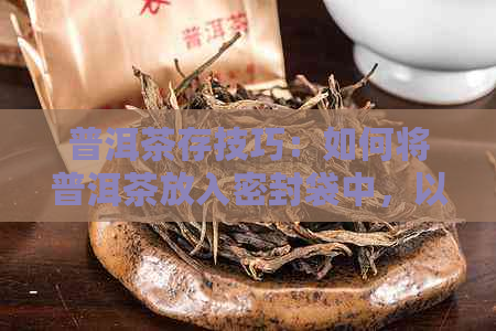 普洱茶存技巧：如何将普洱茶放入密封袋中，以保持其品质和口感