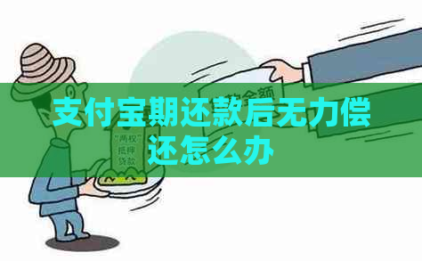 支付宝期还款后无力偿还怎么办