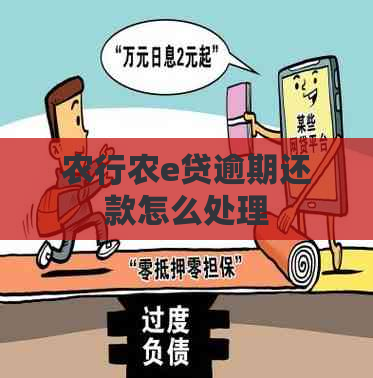 农行农e贷逾期还款怎么处理