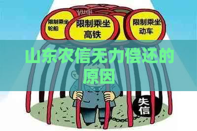 山东农信无力偿还的原因