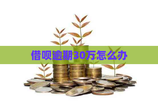 借呗逾期30万怎么办