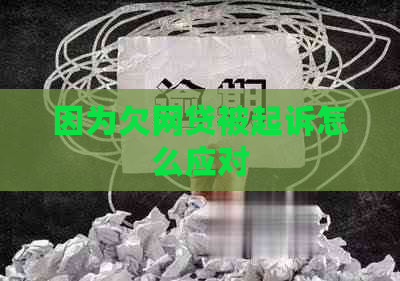 因为欠网贷被起诉怎么应对