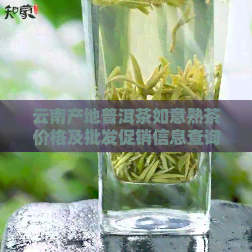 云南产地普洱茶如意熟茶价格及批发促销信息查询