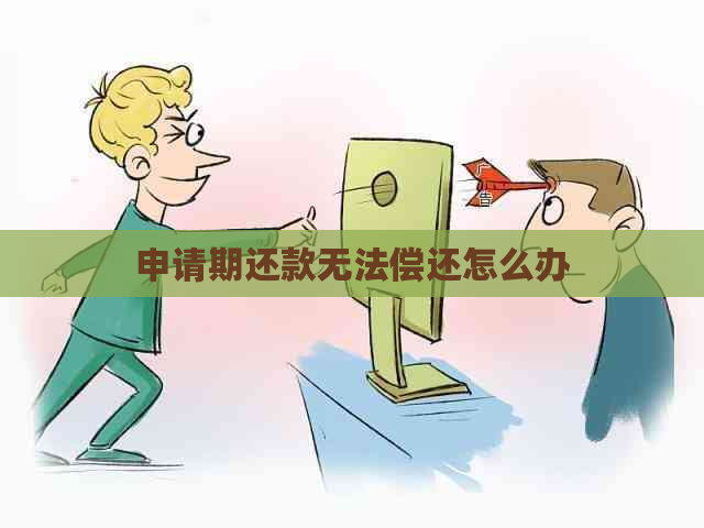 申请期还款无法偿还怎么办