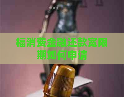 福消费金融还款宽限期如何申请