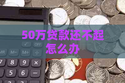 50万贷款还不起怎么办