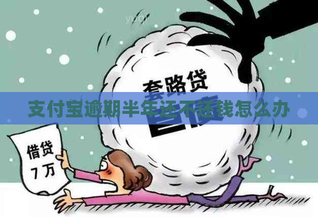 支付宝逾期半年还不还钱怎么办