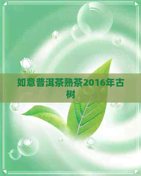 如意普洱茶熟茶2016年古树