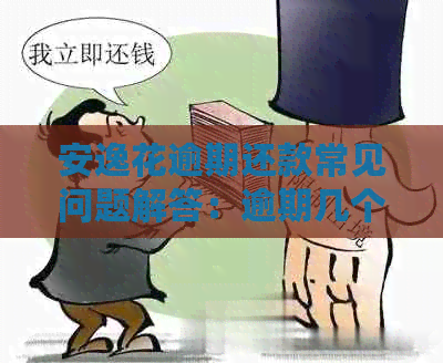 安逸花逾期还款常见问题解答：逾期几个月该如何处理？