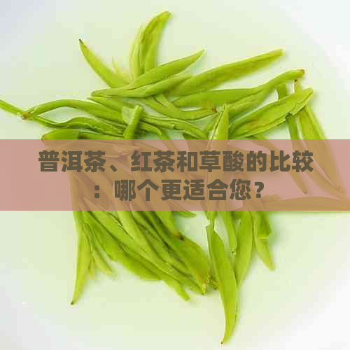 普洱茶、红茶和草酸的比较：哪个更适合您？