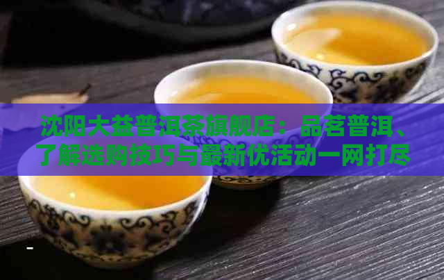 沈阳大益普洱茶旗舰店：品茗普洱、了解选购技巧与最新优活动一网打尽