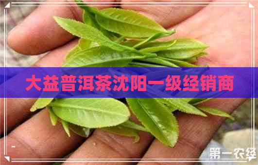 大益普洱茶沈阳一级经销商