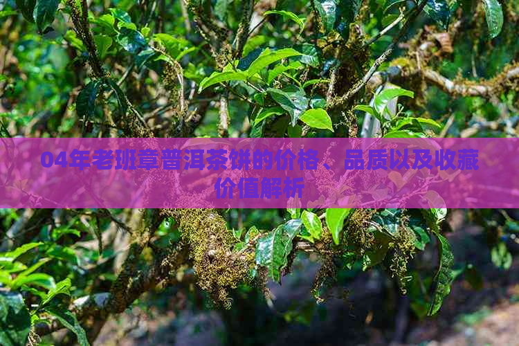 04年老班章普洱茶饼的价格、品质以及收藏价值解析