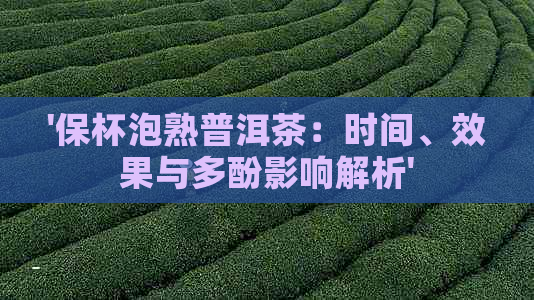 '保杯泡熟普洱茶：时间、效果与多酚影响解析'