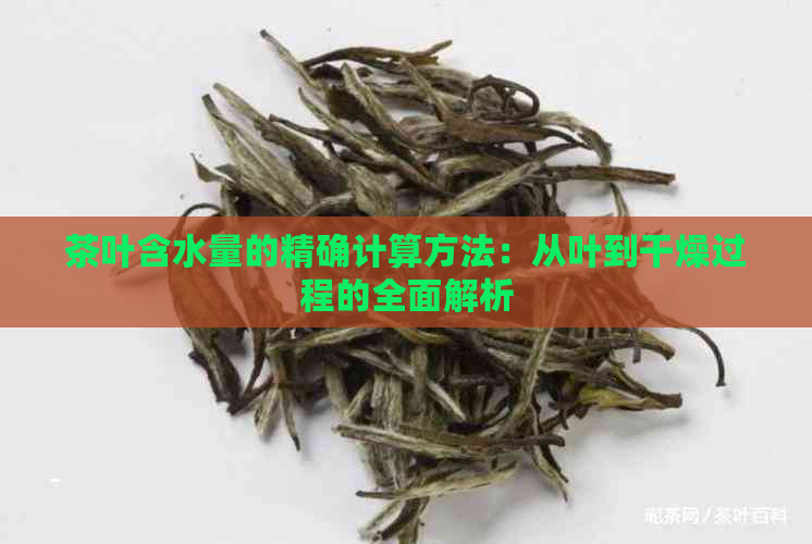 茶叶含水量的精确计算方法：从叶到干燥过程的全面解析