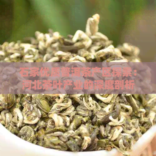 石家优质普洱茶产区探索：河北茶叶产业的深度剖析