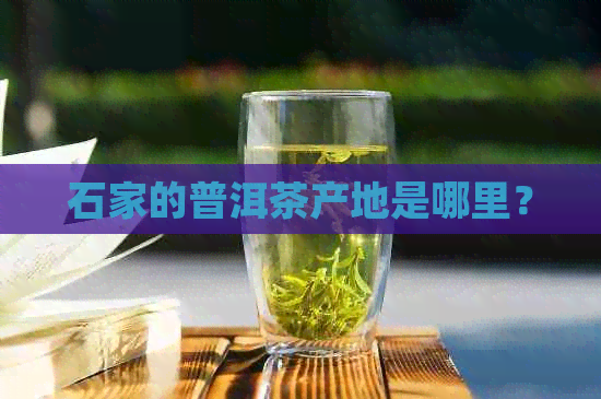 石家的普洱茶产地是哪里？