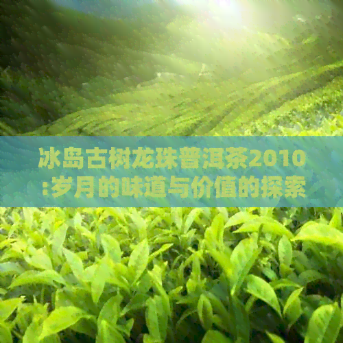 冰岛古树龙珠普洱茶2010:岁月的味道与价值的探索