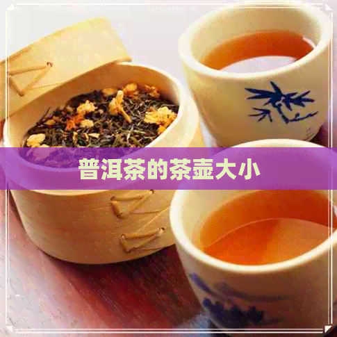 普洱茶的茶壶大小