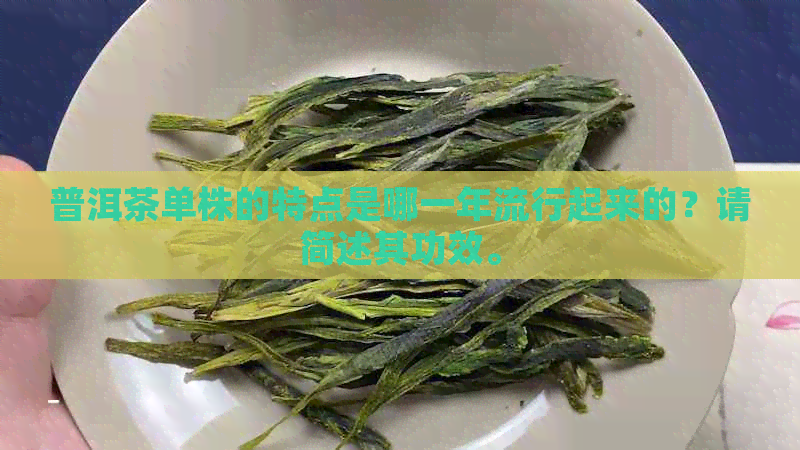 普洱茶单株的特点是哪一年流行起来的？请简述其功效。