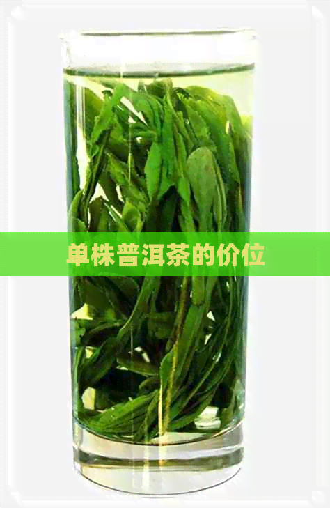 单株普洱茶的价位