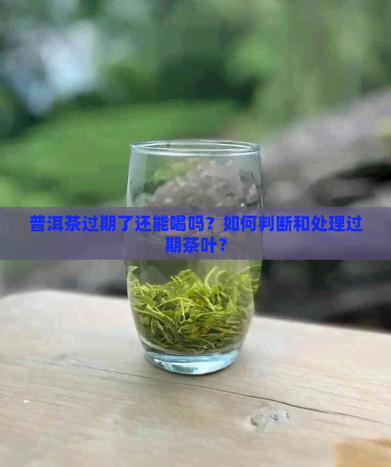 普洱茶过期了还能喝吗？如何判断和处理过期茶叶？