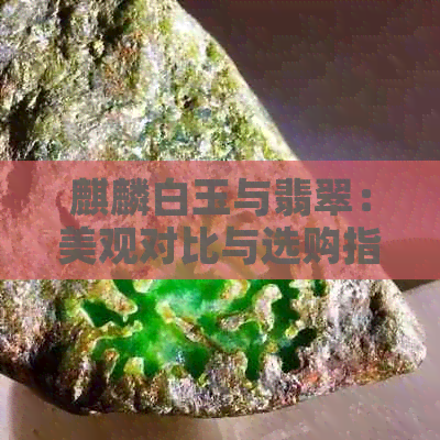 麒麟白玉与翡翠：美观对比与选购指南